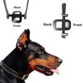 thumbnail image 3 of Doberman Dog Ear Stand Up Support Tool, Pet Dog Ear Fixed Correction Vertical Stand for Samoyed Doberman, 3 of 5