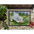 thumbnail image 3 of Carolines Treasures SS8015MAT Tapis Intérieur Extérieur 18 x 27 Po. Australian Shepherd, 3 of 4