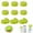 Green, variant on Tutuviw 12Pcs Narrow Baby Bottle Caps with Sealing Ring,Travel and Storage Baby Bottle Lids,Leak Proof Screw Lids for Natural Flow Cap for Narrow-Neck Bottle Breastmilk Bottles (White)