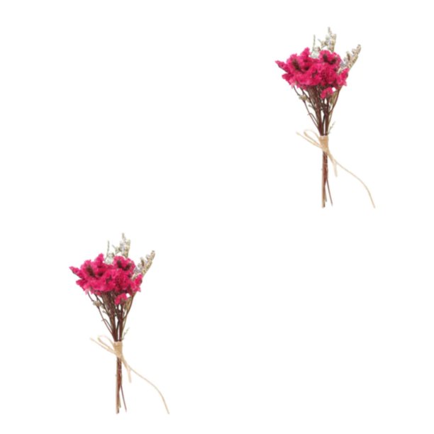 Wosthever Durabilidad y encanto duraderos en ramo de flores secas naturales flor en relieve elegante HS-19 HS-19 2Conjunto