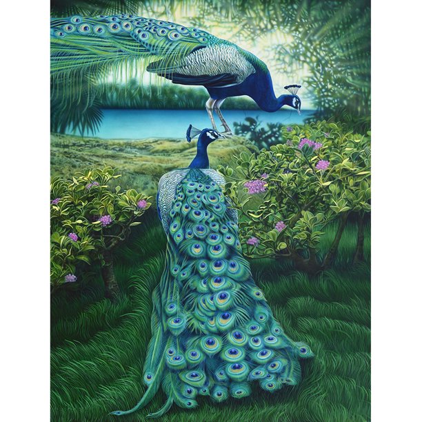 Diamond Painting (DE6192) 5D DIY Square Beauty Rhinestone Imagen 20X30cm Hugtrwg Para estrenar