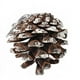 thumbnail image 3 of KAKOWELY Piñas decorativas naturales para árbol de Navidad, decoración navideña - Juego de 9 (plata), 3 of 3