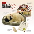 thumbnail image 2 of Peluche Perfect Petzzz Pug Puppy Pug con acceso., 2 of 8