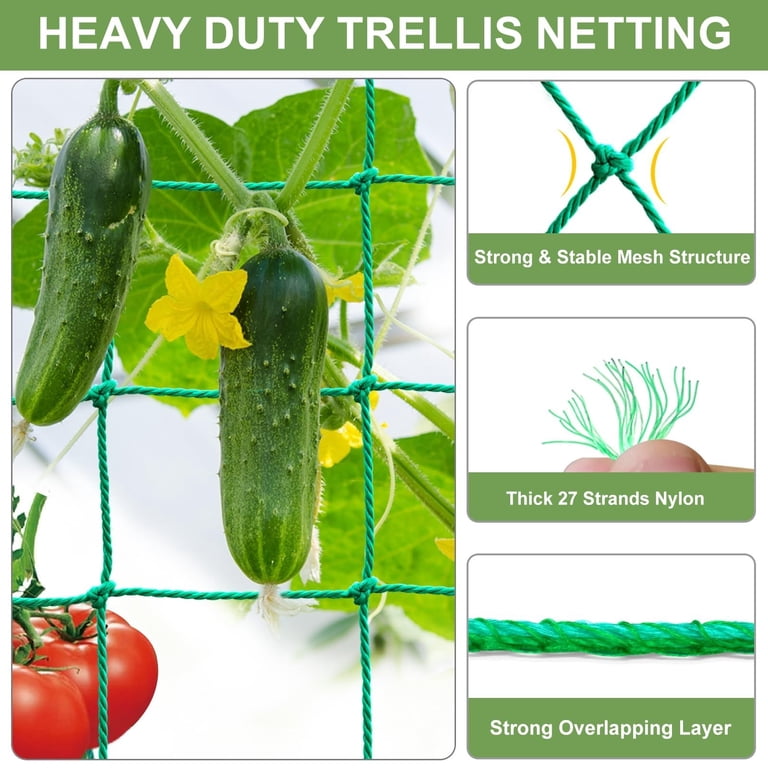 Planting Net Trellis Netting Heavy Duty For Climbing Plants - 6.6x9.85ft Garden ...