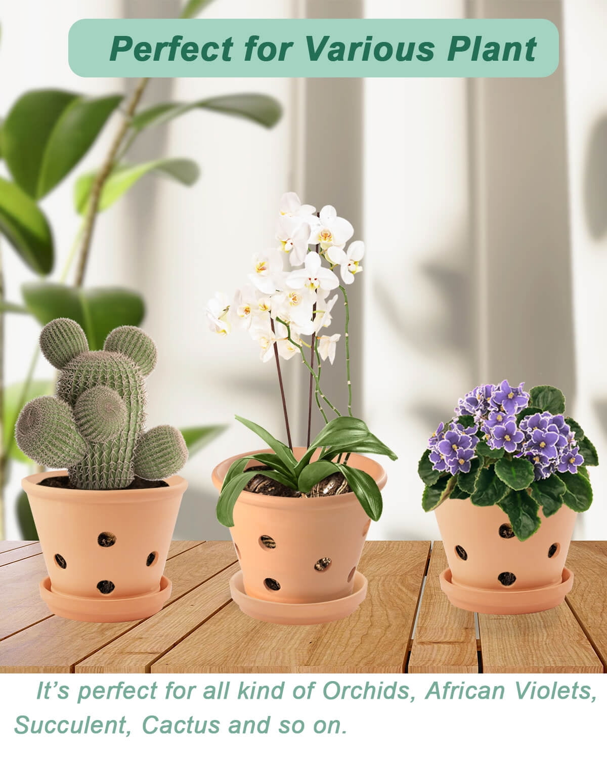 6 Inch Terracotta Orchid Pots with Holes and Saucers - 3 Pcs Small Clay Orchid Planter Pots for Repotting, Plant Flower Pots for Orchid Indoor and Outdoor Promotes Air Circulation