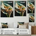 thumbnail image 4 of Designart Gren And White Calla Lily Flower III Canvas Wall Art, 4 of 5
