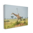 thumbnail image 4 of Stupell Industries Monkey Riding Giraffe Animals & Insects Photography Gallery Wrapped Canvas Art Print Wall Art, 30 x 24, 4 of 8