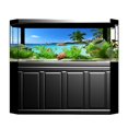 thumbnail image 3 of Tachiuwa Escargots St Sandbeach Turtle Aquarium Background Poster Sticker Sandbeach Sandbeach 61x30cm, 3 of 8