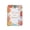 B, variant on Back to School Supplies Weekly Planner Notebook Platinum Multi-function Academic Agenda with Calendar Gratitude Notes for Home Office School