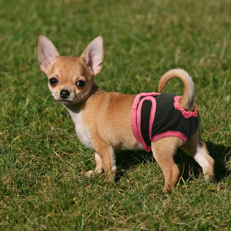 Dog diapers hotsell for chihuahua