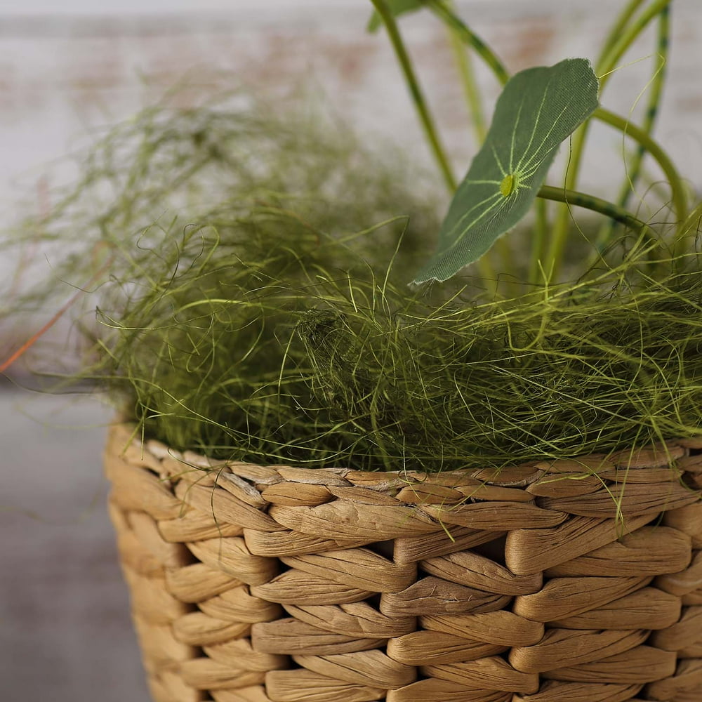BalsaCircle 50 grams Green Natural Moss Grass Vase Filler Set - Wedding ...