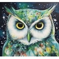 thumbnail image 1 of Kit de Peinture Diamant Hibou Nuit, 1 of 3