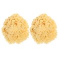 thumbnail image 1 of HAMPPLIES 2Ud Esponjas Naturales De Mar Para Pintura Amarillas Para Textura Y Aplicaciones Acrílicas, 1 of 7