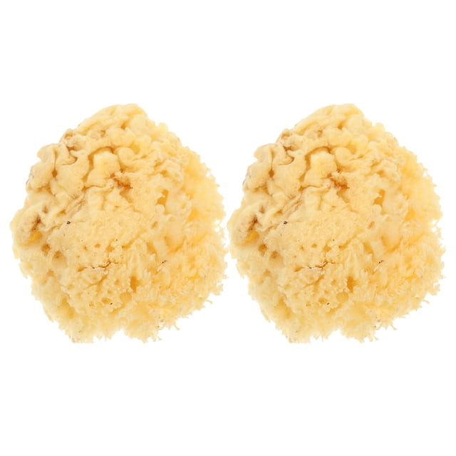 HAMPPLIES 2Ud Esponjas Naturales De Mar Para Pintura Amarillas Para Textura Y Aplicaciones Acrílicas