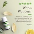 thumbnail image 4 of Pranarom - Tranquility Essential Oil Blend (5ml) - Lemon, Bergamot, Distilled Lime, Petitgrain, Spearmint, Orange - 100% Pure Essential Oil for Grounding & Clarity|USDA and ECOCERT Certified Organic, 4 of 7