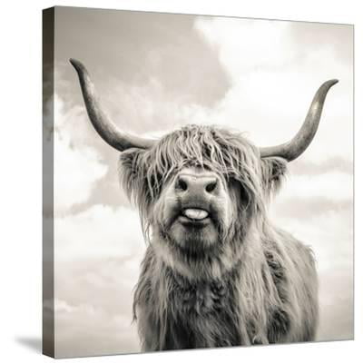 Black White Highland Cow Cattle Wall Canvas Art Painting Poster Print Home Decor 