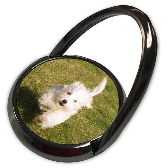 3dRose, Bishon Frise Puppy Running, Phone Ring