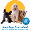 thumbnail image 3 of Beef Knee Caps bone chews for dogs (3 Count) - Made in USA, 3 of 7