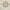 Slate/Beige, variant on SAFAVIEH Blossom Constantine Floral Traditional Wool Area Rug, Slate/Beige, 4' x 6'