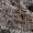 Khaki, variant on Blue Black Mixed Grid Knit Sock Slip On White Popcorn Foam Casual Walking Shoes