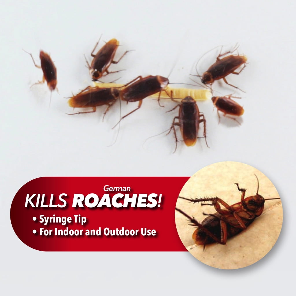 BulbHead Original Roach Doctor Cockroach Gel Ready-to-e Cockroach Gel Bait