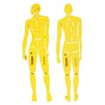 thumbnail image 1 of Traceease Male Human Figure Template Stencils Fashion Designers Drafting Tools, 2 Piece ( Front & Back), 1 of 4