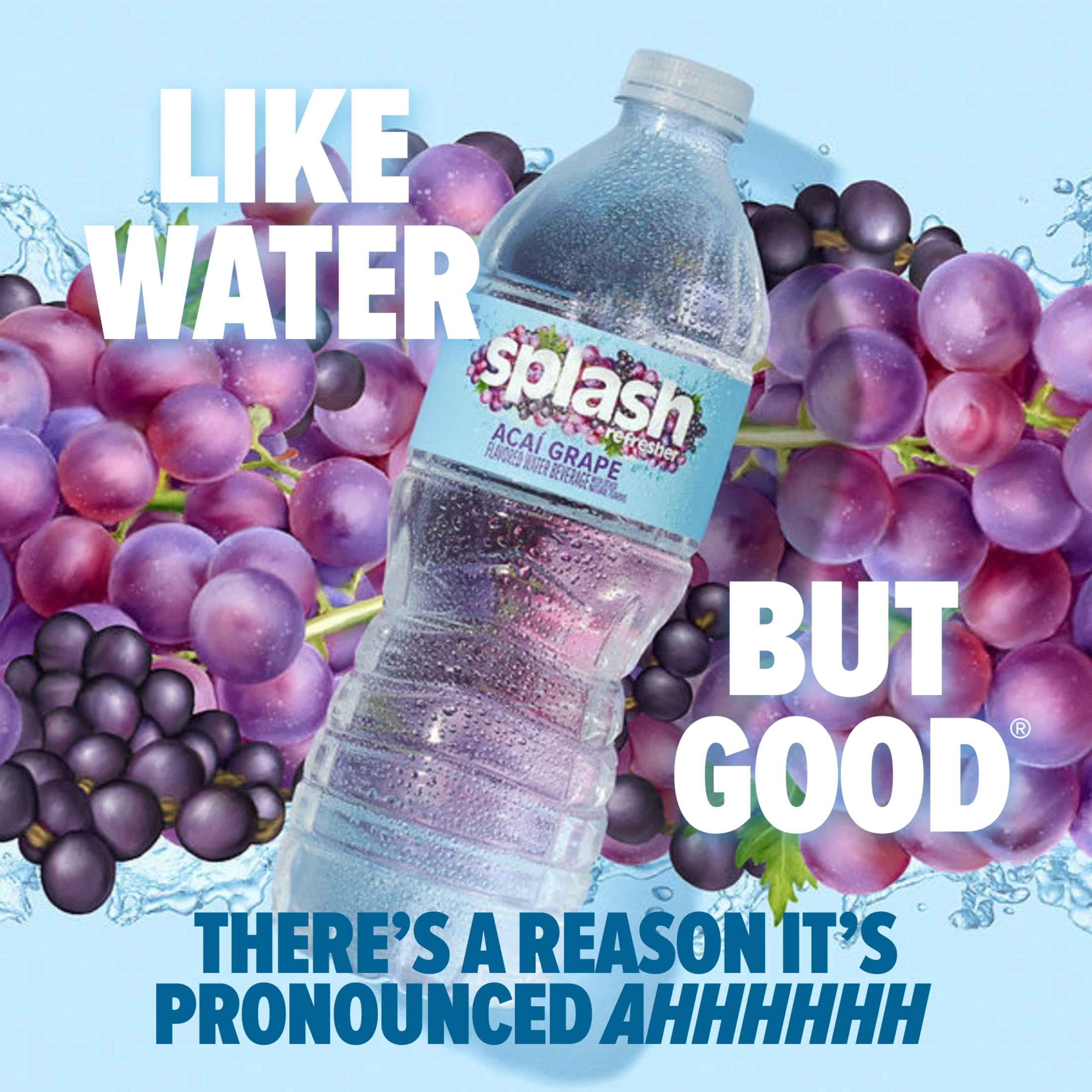 (2 pack) Splash Blast Acai Grape Flavored Water, 16.9 fl oz, 6-pack Plastic Bottles