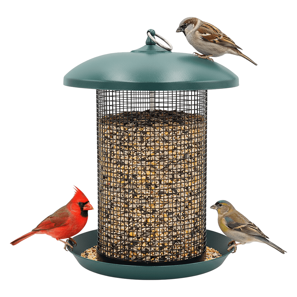 Zenport Z203010 Hanging Bird Seed Screen Feeder, Green