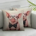 thumbnail image 2 of PIKWEEK  Funny Piggy Throw Pillow Cover Lovely Pink Pig Rustic Farm Animals Wearing Glasses Bow Knot Square Pillow Case Cushion Cover for Home Car Decorative 2pc, 2 of 6
