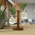 thumbnail image 7 of Propagation Station Glass Terrarium Planter Flower Pot With Retro Solid Wooden Stand For Home Kitchen Indoor Garden Wedding Desktop Patio Planters Wall Hanging Planters Planters Pots Tree Pot Indoor, 7 of 7
