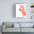 thumbnail image 4 of Trademark Fine Art Goed Blauw Pink Lady Canvas Wall Art, 4 of 4