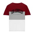 thumbnail image 3 of NoxwB Men's Colorblock LOS ANGELES Letter Printed T-Shirts Lighweight Comfy Regular Fit Crewneck Short Sleeve Pullover Tees Casual Fitness Sport Blouse Wine 2XL, 3 of 5