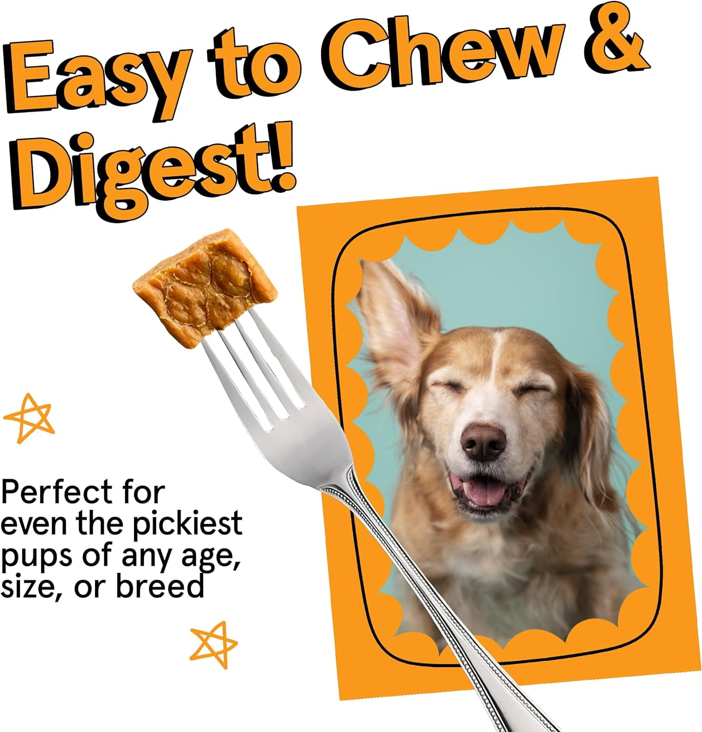 The Real Meat 828023 2 lbs Cannine Air-Dried Chicken Dog Food