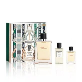 Hermes Terre D'Hermes Perfume Set: Eau De Toilette Spray 100ml