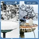 thumbnail image 5 of Calentador Para Baño De Pájaros Con Control De Lengua Calentador De Agua Sin Tanque De Aluminio Para Pájaros | Calentador De Agua Para Pollos | Calentador De Agua Subacuático Para Pájaros De 15 W Ca, 5 of 8