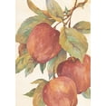 thumbnail image 2 of Unknown 24x32 White Modern Wood Framed Museum Art Print Titled - Hanging Apples, 2 of 4