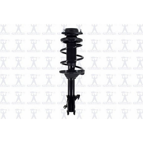Suspension Strut and Coil Spring Assembly