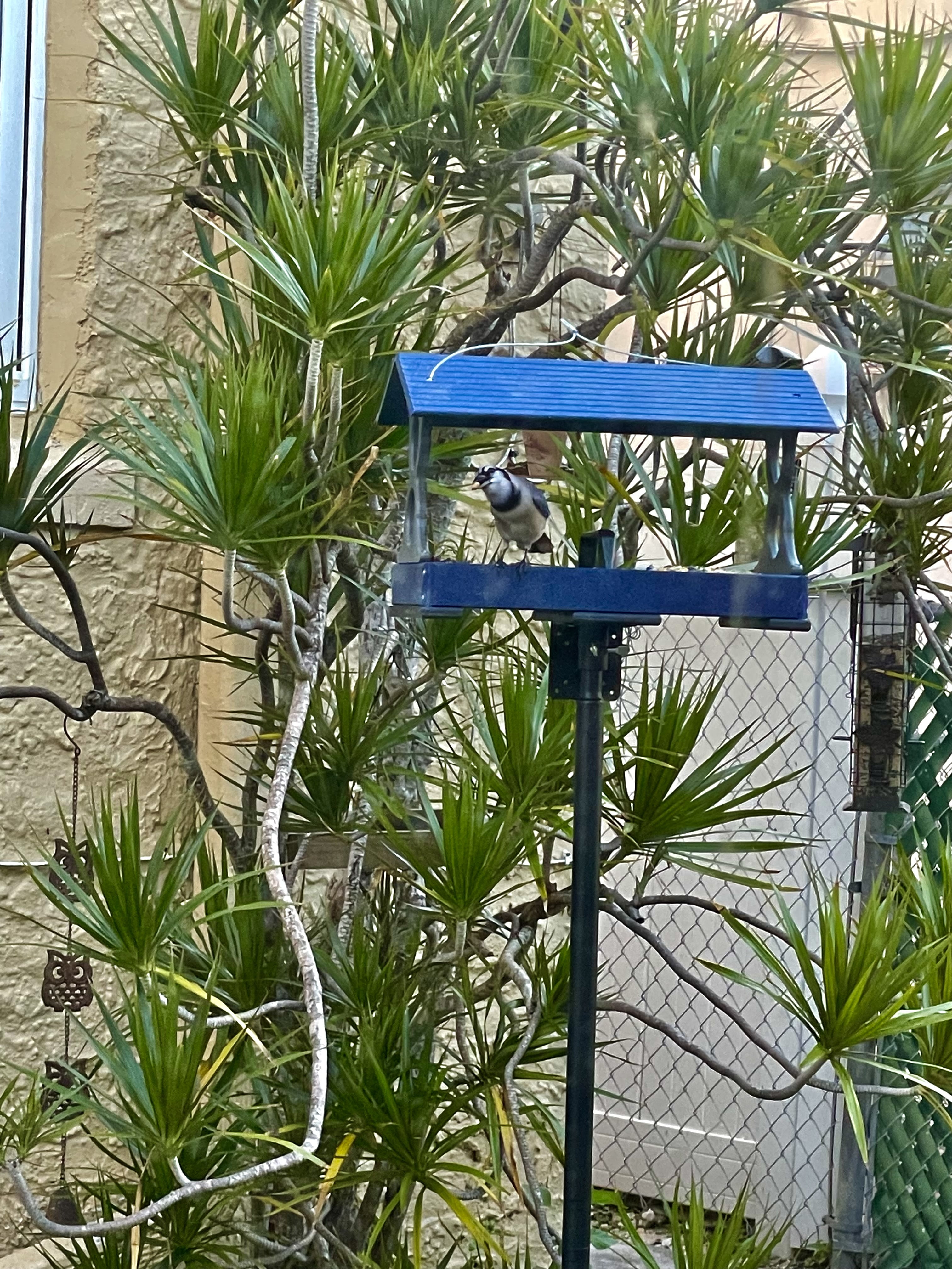 Universal Mounting Pole Kit - Great for Post-Mounted Bird Houses and Bird Feeders, Heavy Duty Pole with Threaded Connections