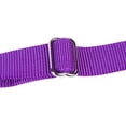 thumbnail image 5 of GoGo 15112 Extra Small 0.38 X 10-12 In. Purple Martingale Collar, 5 of 9