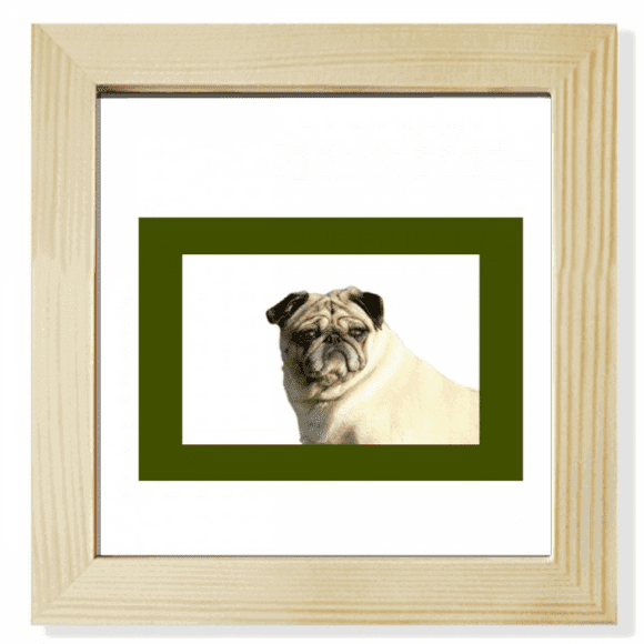 Watch Dog Pet Border Art Deco Fashion Square Picture Frame Wall Tabletop Display