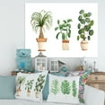 thumbnail image 2 of Designart ' Trio of House Plants Ficus Ponytail and Palm ' Traditional Canvas Wall Art Print, 2 of 4