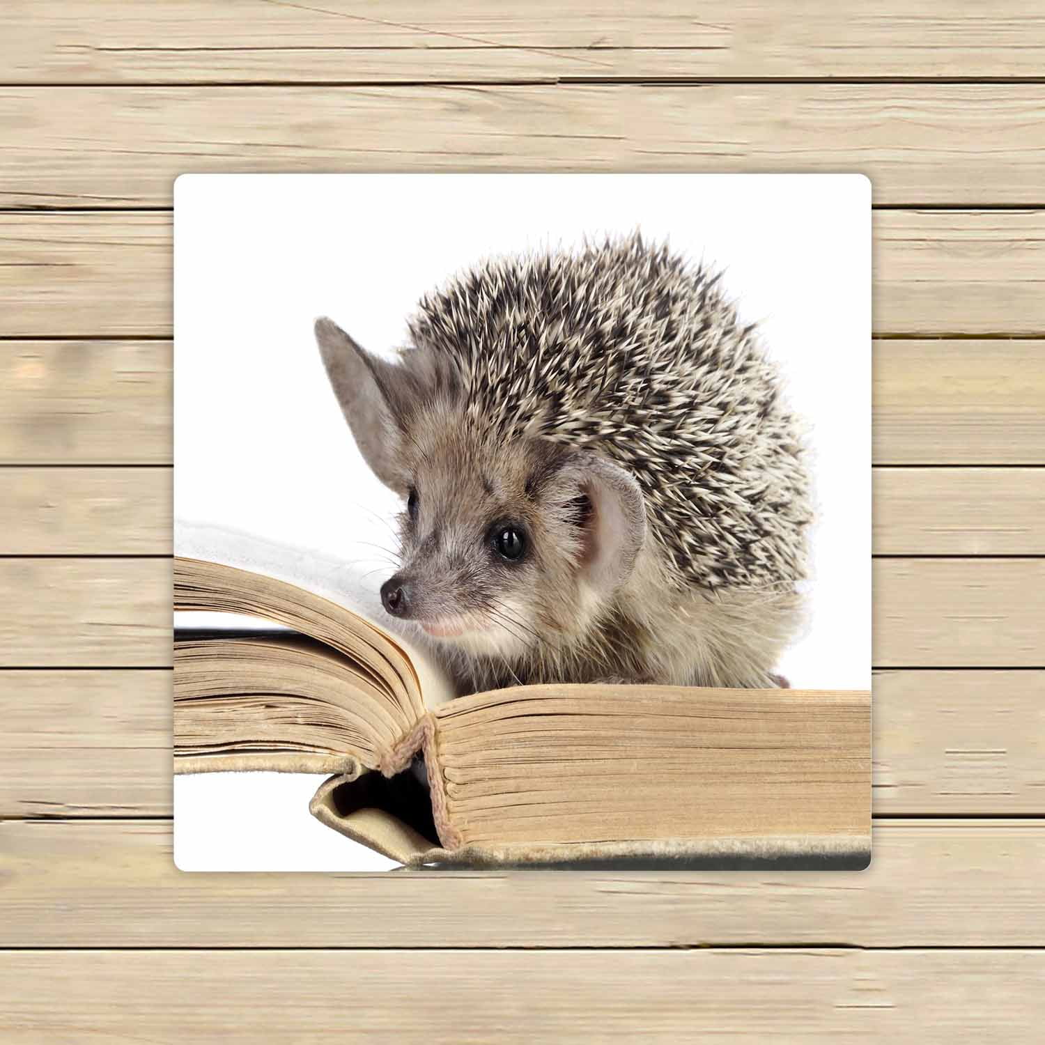 Cute Hedgehogs Read Book Microfiber Bath Towels Bathroom Body Shower