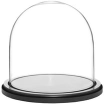Plymor 8" x 8" Glass Display Dome Cloche (Black MDF Wood Base)