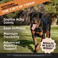 thumbnail image 2 of Pet Honesty Hip + Joint Health Max-Strength Hickory Bacon Flavor Glucosamine Supplement for Dogs, 90 count, 2 of 8