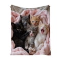 thumbnail image 2 of AURIGATE Charming Kitten Collage Print Polyester Blanket, 39.37×27.56in,Soft Cozy Throw Blanket, Machine-Washable Cat Lover Blanket, 2 of 6