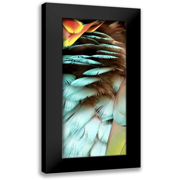 Bartola 8x14 Black Modern Framed Museum Art Print Titled - Feathers I