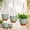 Green, variant on 10/9/8 Inch Hanging Planter for Indoor Outdoor Plants, 3 Pack Self-Watering Hanging Pots with Drainage Holes and Removable Trays, Green and Brown