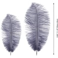 thumbnail image 2 of 10PCS Gray Ostrich Feathers, 10-12 inch(25-30 cm) Ostrich Feathers Bluk for DIY Crafts Centerpieces Wedding Halloween Costume Party Decorations, 2 of 7