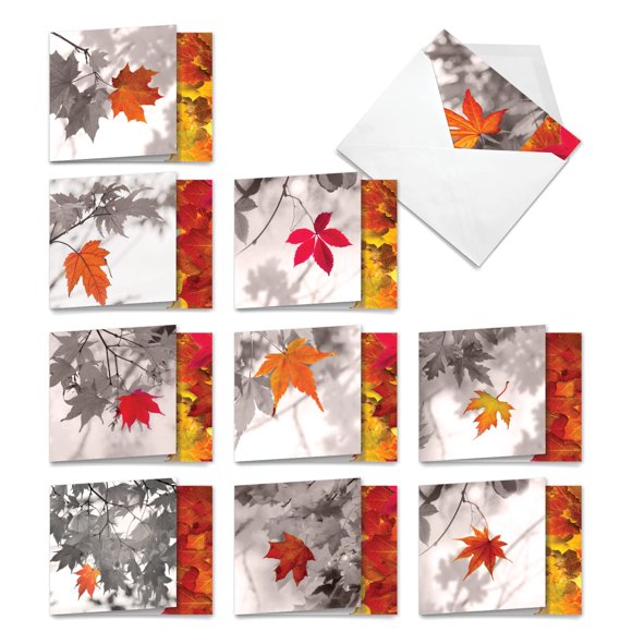 The Best Card Company - 10 Beautiful Note Cards Blank (4 x 5.12 Inch) - Fall and Autumn Season, Boxed Notecard Assortment - Over the Top M2006