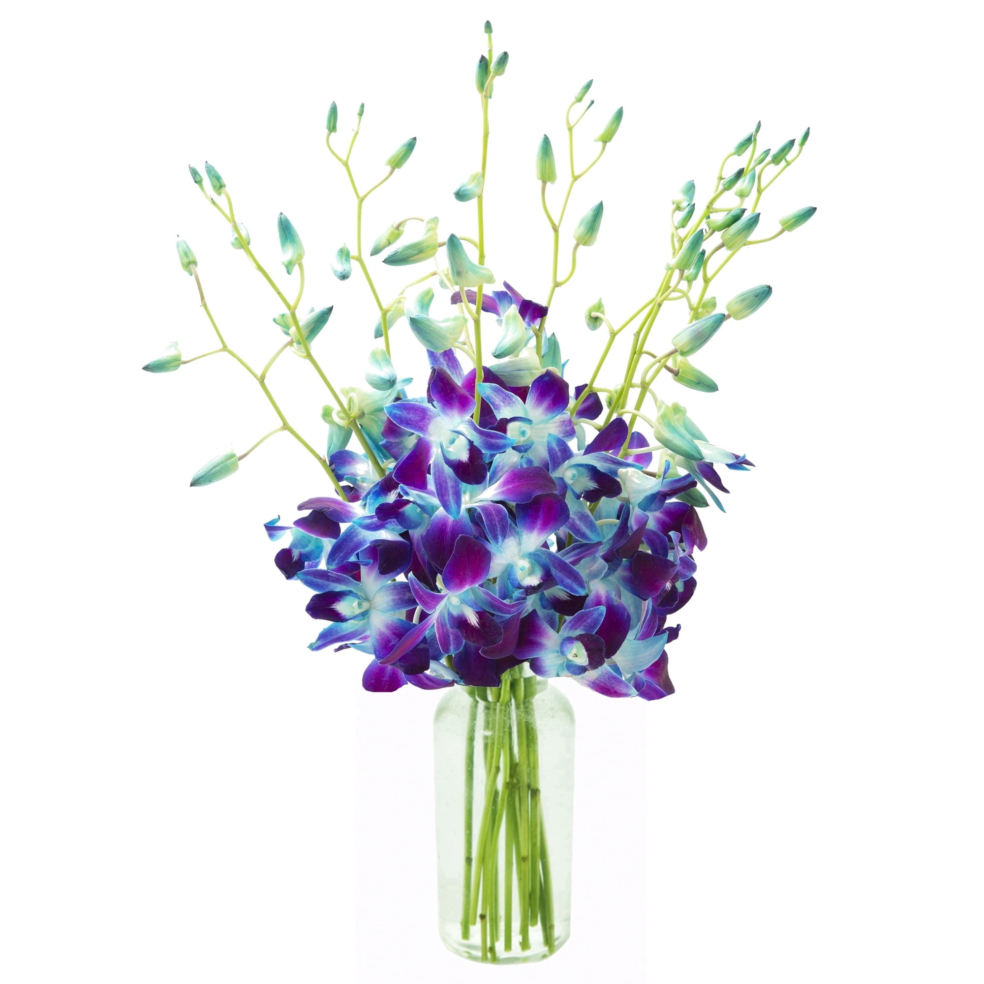 KaBloom : Bouquet of Fresh 10 Blue Orchids with Vase, Next-Day Delivery, Gift for all occasions